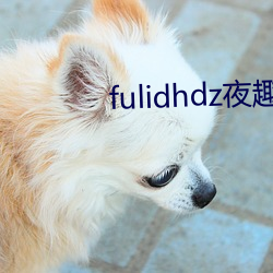 fulidhdz夜(夜)趣入口