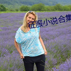 征服小(xiǎo)说合集(jí)免费阅读