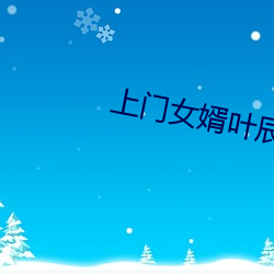 上門女婿葉辰小說