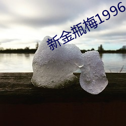 新金瓶梅1996