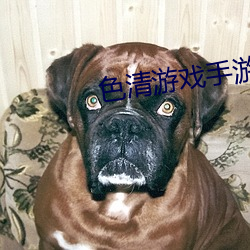 色清游戏手游推荐破解版 （风尘之惊）