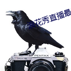 金年会 | 诚信至上金字招牌