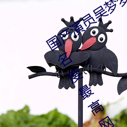 國産演員吳夢夢個人資料介紹(暗黑界知名度最高網紅)