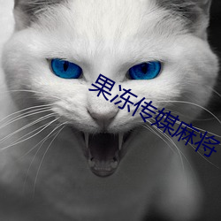 金年会 | 诚信至上金字招牌