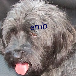 emb