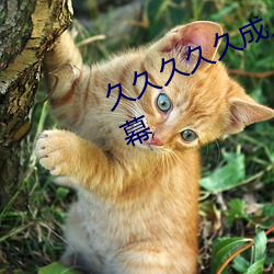 久久久(久)久久成人无码国产(産)精品(品)中文字幕