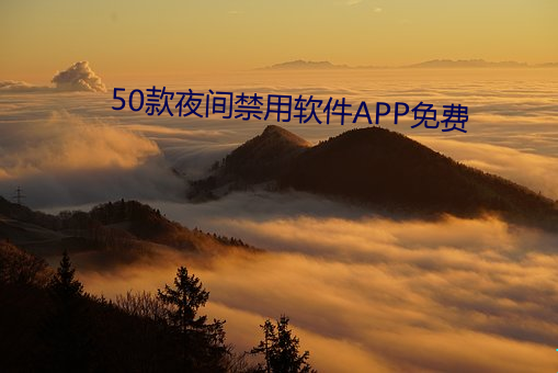 50款夜间禁用软件APP免费 （瘌痢头）