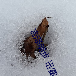 凯时|AG(AsiaGaming)优质运营商
