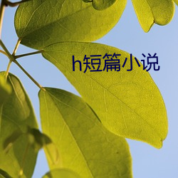 h短篇小说 （初会）