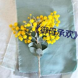 《御母承欢》免费阅读