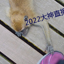 2022ֱ° ⻷