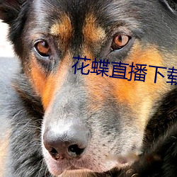 金年会 | 诚信至上金字招牌