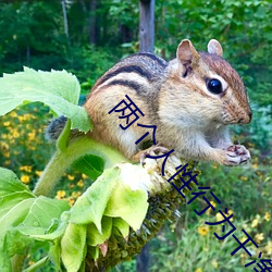 两个人性行为干净会有hpv吗