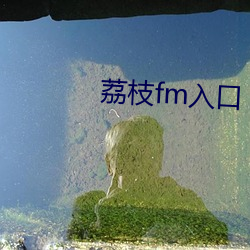 荔(荔)枝fm入口