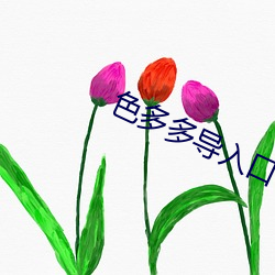 色多(多)多(多)导入(入)口