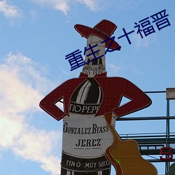 重生之十福晉