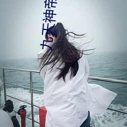 九天神帝 （无奇不有）