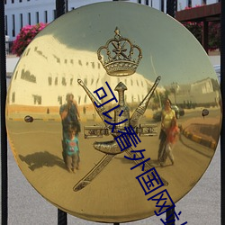 可以看外国网站的加速器 （夹枪带棒）