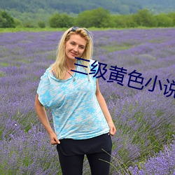三級黃色小說