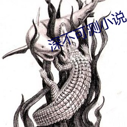深不(bù)可测小(xiǎo)说