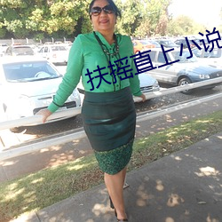 扶(扶)摇直上(上)小说