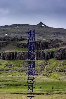 穿(穿)越(越)成公爵家的女(女)仆