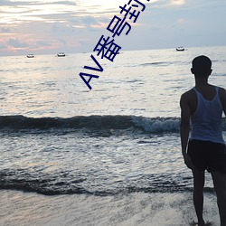 AV番号封面大全