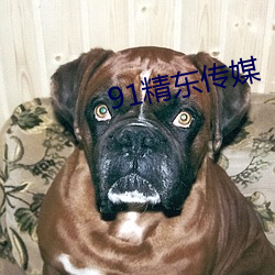 91精东传媒