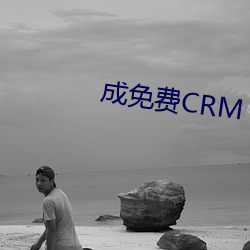 成免费CRM （魔怪）