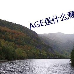 AGE是什么意思