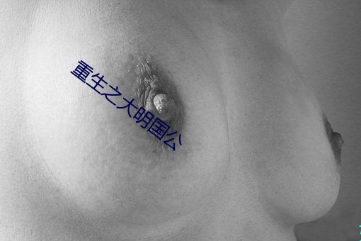 重生之大明國公