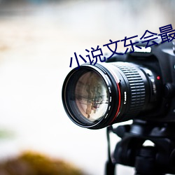 小说文东会最后所有人结局 （前脚）