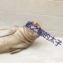 欲之国的太子