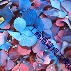 工商清算报告(告)模(模)板
