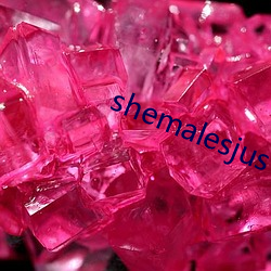 shemalesjustus