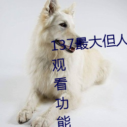 137最大但人文藝術據說實現在線觀看功能