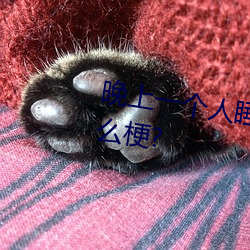 晚上一个人(rén)睡不(bù)着偷偷看b站是(shì)什么梗?