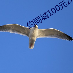 金年会 | 诚信至上金字招牌