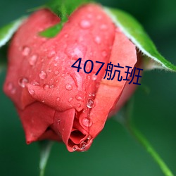 407航班