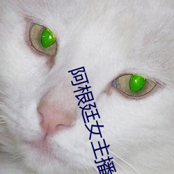 阿根廷女(nǚ)主播