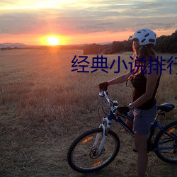经(jīng)典小(xiǎo)说排行榜前(qián)十名