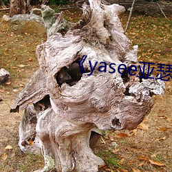 《yasee亚瑟 （逷听远闻）