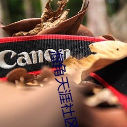 海角天涯社区入口 （遗恨终天）