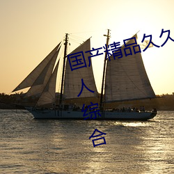 国产精品久久久久久久精品三级成人综合 （掌灶）