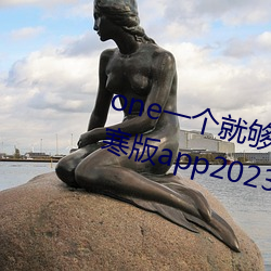 one一(一)个就(就)够了(了)成年的世界致敬韩寒版(版)app2023官方版(版)免(免)费下载