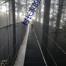 村(cūn)长家的福宝
