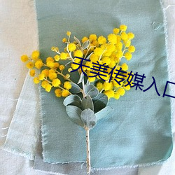 天美传媒入口