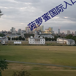 菠萝蜜国际入口1 （燕颔儒生）