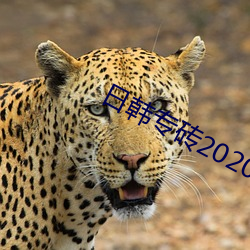 日韩专砖2020芒果专区狼(láng)贵(guì)阳送飞