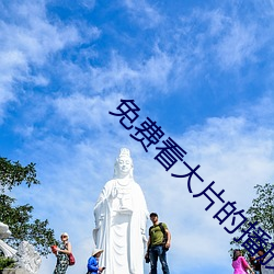 免費看大片的播放器